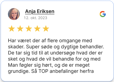 Skærmbillede 2025-07-29 kl. 12.05.49