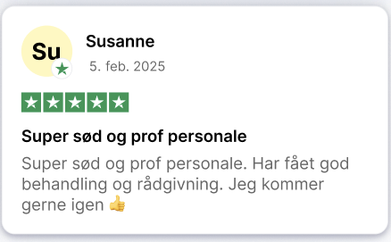 Skærmbillede 2025-08-19 kl. 13.37.31