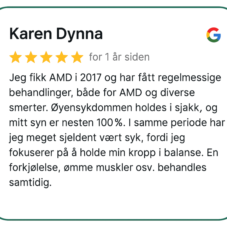 anmeldelse