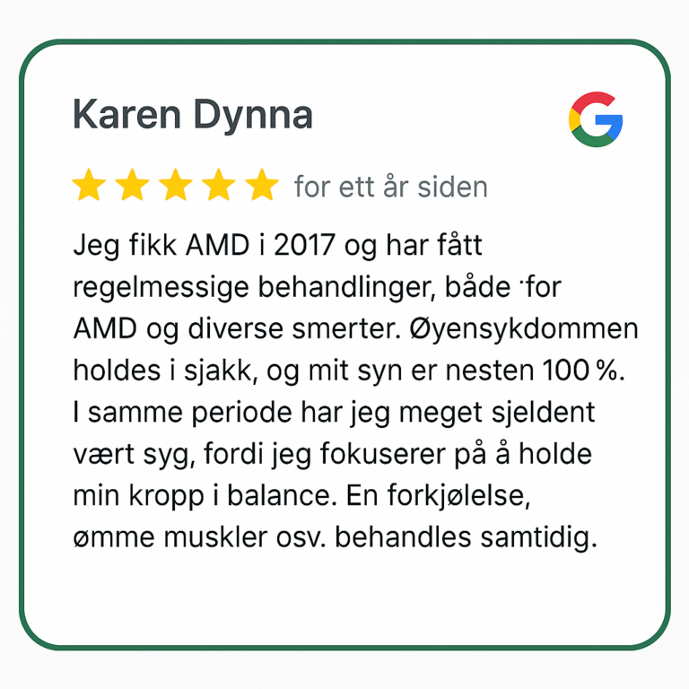 anmeldelse 2