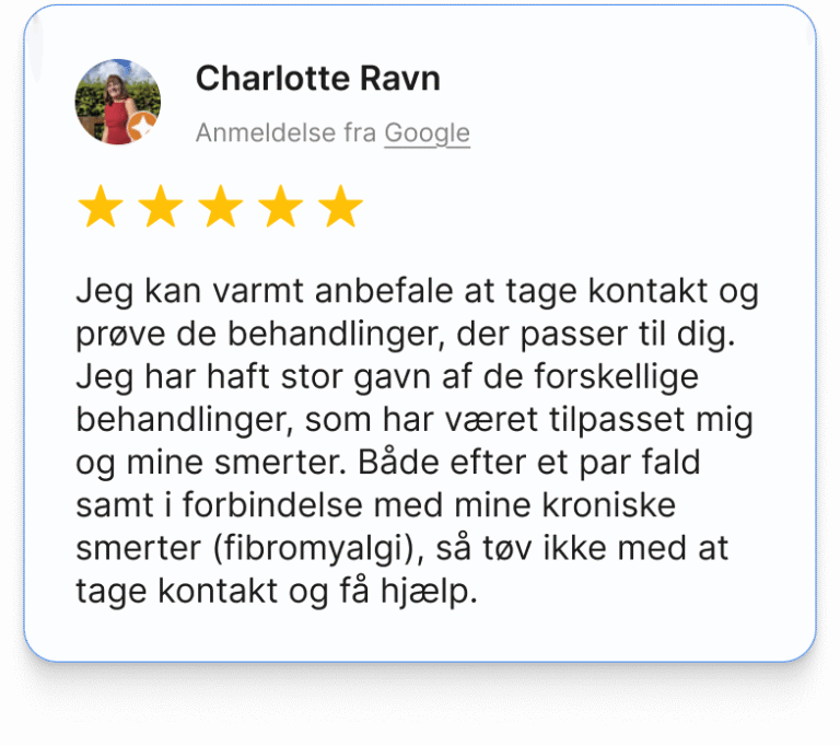 Anmeldelse2