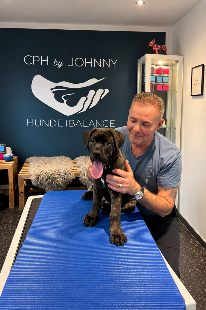 CPH-Johnny17