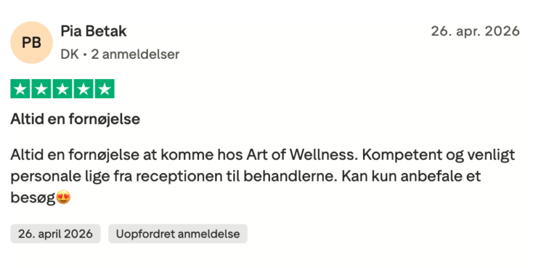 Anmeldelse1