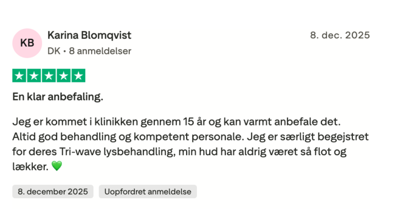 Anmeldelse2
