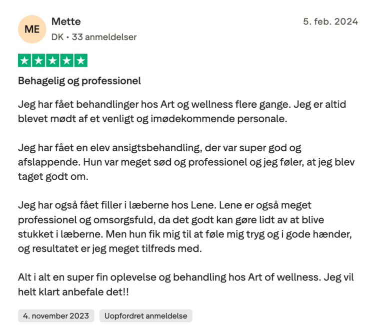 Anmeldelse3